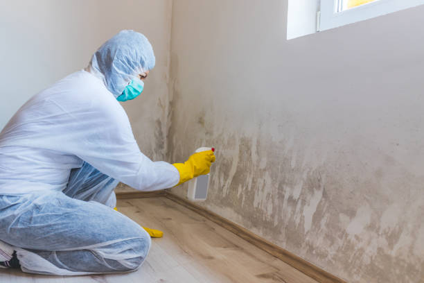 Bathroom Mold Removal assessment in Butler bathroom